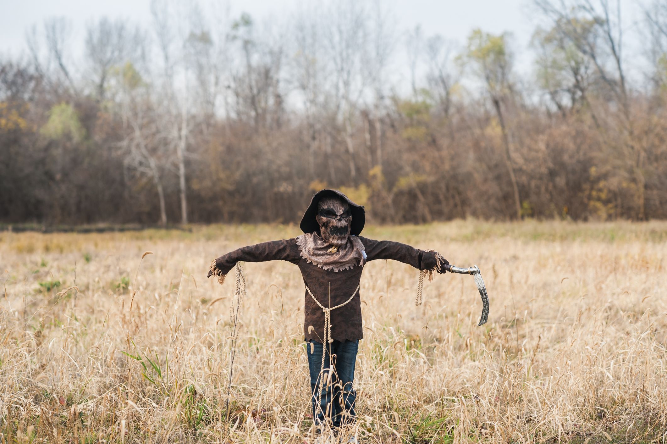 11 DIY Scarecrow Costumes - Best Scarecrow Costume Ideas for Kids and Adults